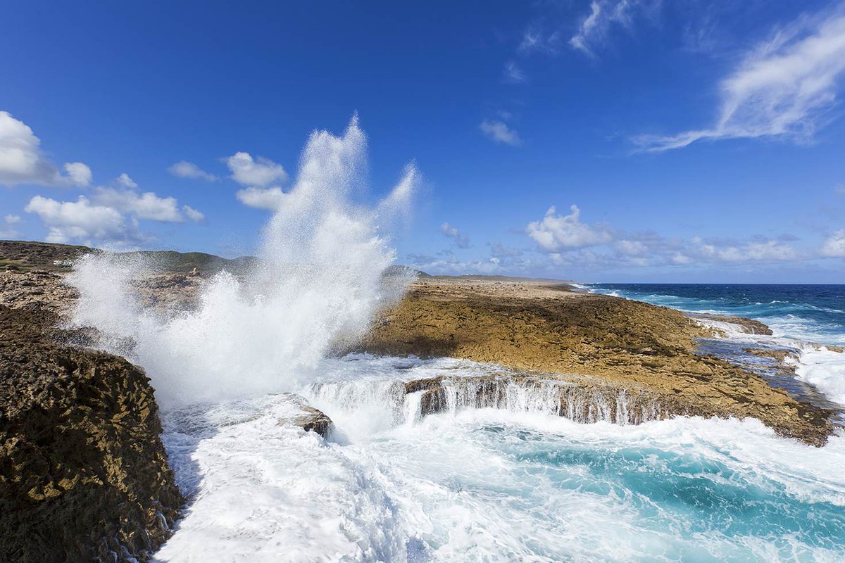 lonelyplanet's tweet photo. 7 reasons why #Curaçao should be your next #Caribbean vacation https://t.co/JTbxWVhGIo by @The_Traveling_B #lp #travel https://t.co/qG5UzYX06H