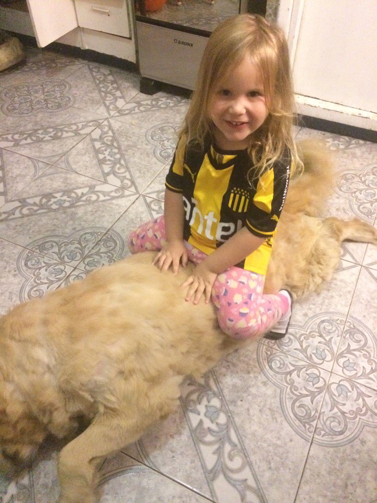 nelson,  el bonchi tweet media