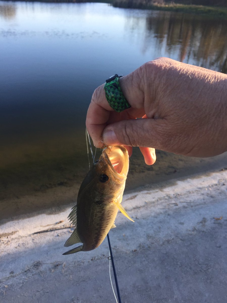 vincentlecca's tweet image. Beautiful Day for Fishing🎣. @BassFishnTips @Line_Cutterz @GuysThatFish @Cabelas @feelfree