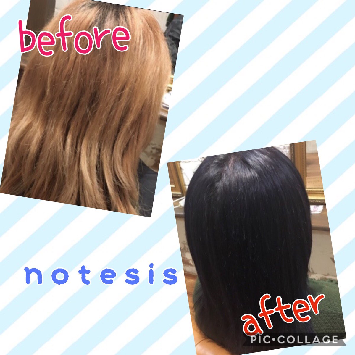 notesis1's tweet photo. こんなパサパサの髪が
カラー&amp;トリートメントで
天使の輪が出来るくらい
ツヤツヤになっちゃいます♡
このトリートメントが
出来るのはnoteだけ！！

 #飯塚美容室
 #notesis 
 #シルキーヴェールトリートメント https://t.co/fxfVZES0z6