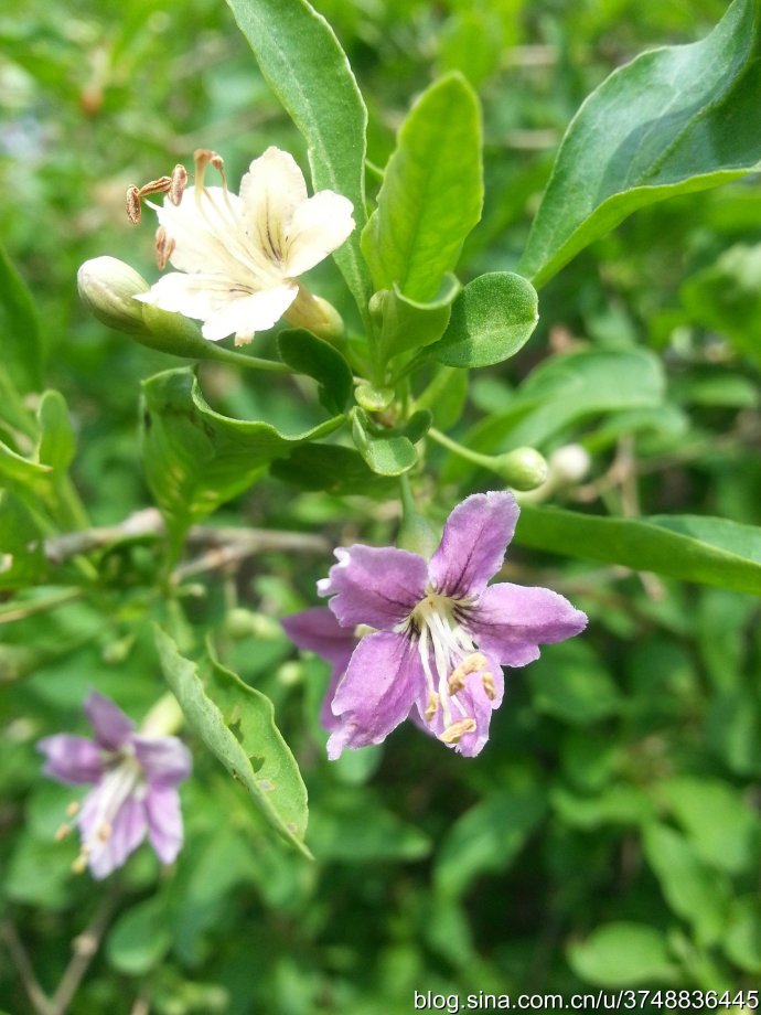 tourettekarda (@tourettekarda1) on Twitter photo 