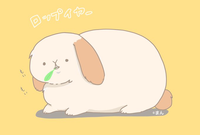 ロップイヤーのtwitterイラスト検索結果 ロップイヤーのtwitterイラスト検索結果