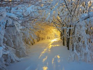 *Deja de decir "Deseo", y comienza el mes diciendo "lo haré".
 #bienvenidoDiciembre 👈