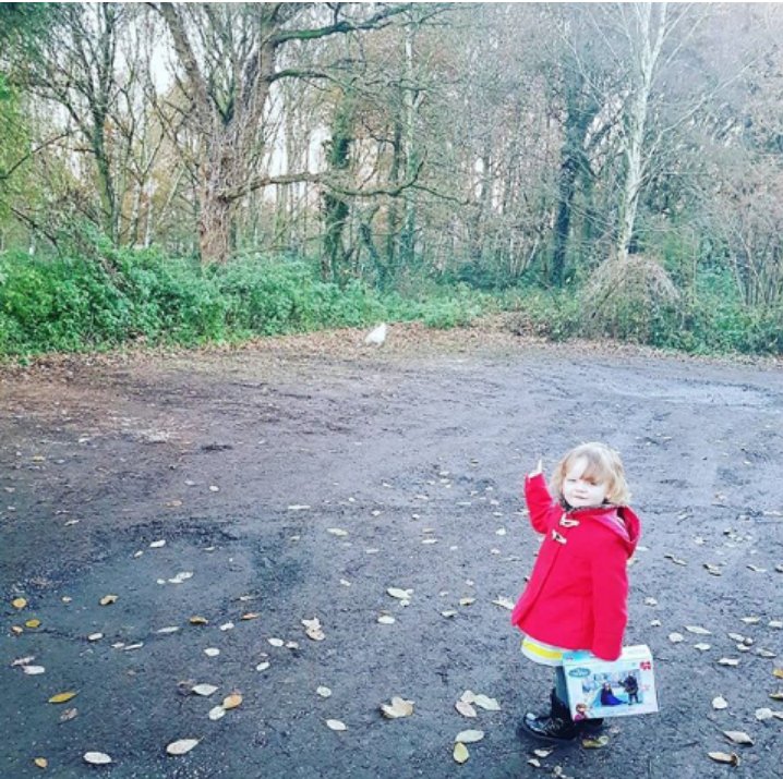cheekychickpea's tweet photo. My little love chicken hunting 😂 #winterfun #chickenchasing #cutie pie https://t.co/zhGSPH95qh