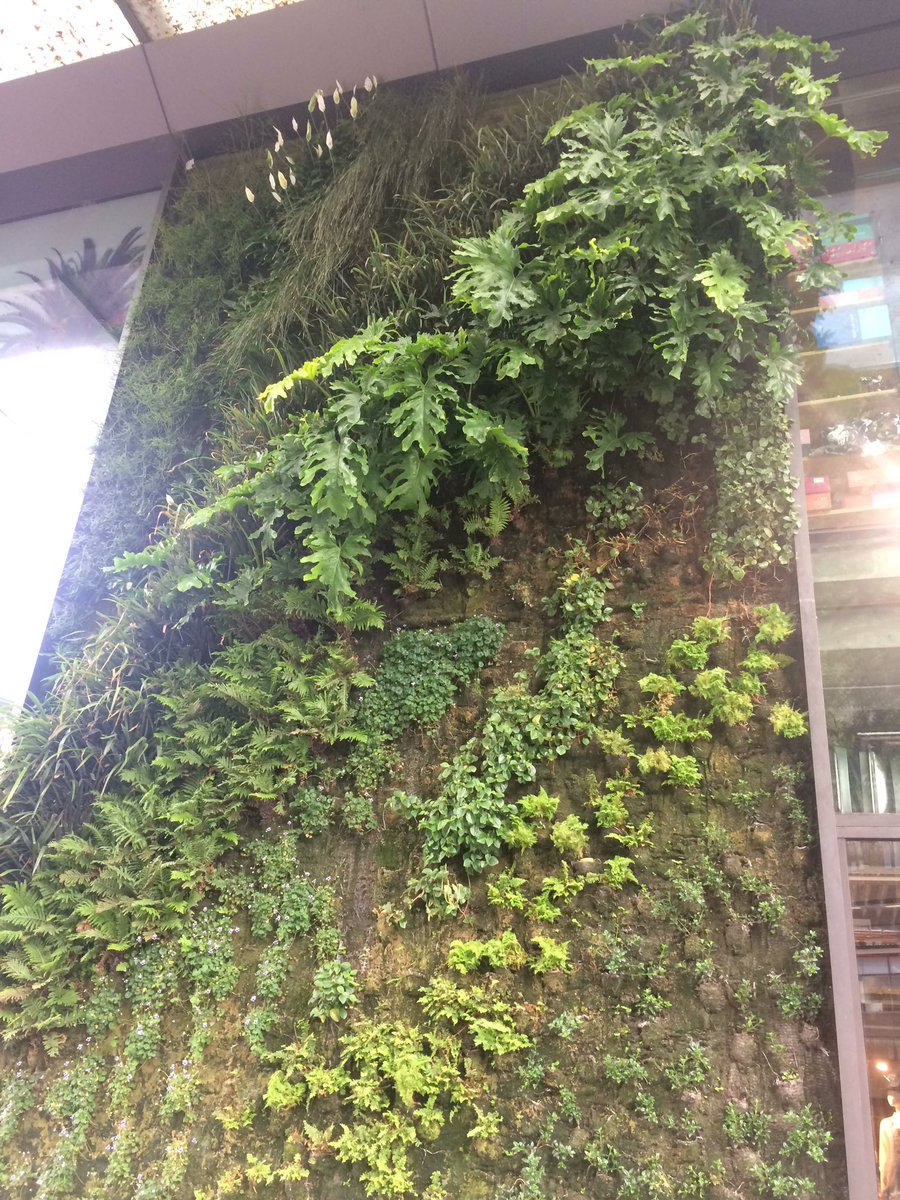 StreetCoolers's tweet photo. Sustainable! #green #centralpark #verticalgarden #sustainable #streetcoolers #sustainablehouse🌲🌳 https://t.co/cCHBdnacfH