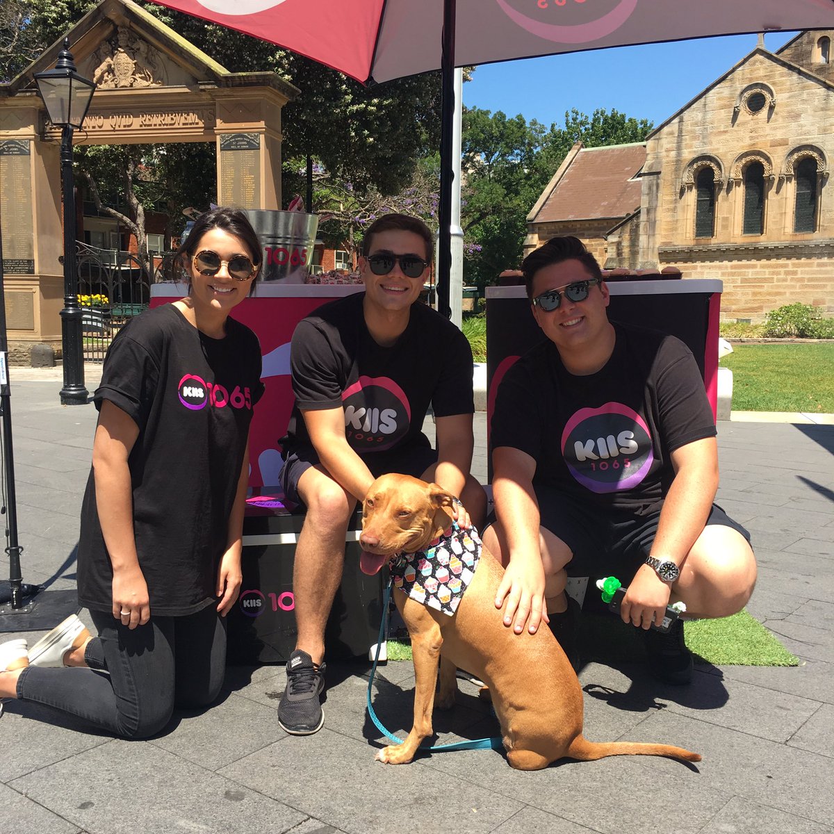 SavourLife's tweet photo. There was no shortage of cuddles for our #tripawd Missy, when the @kiis1065 crew came by our pup-up in Parramatta!
#savourlife #cloudst https://t.co/AJ0Cmzvzer