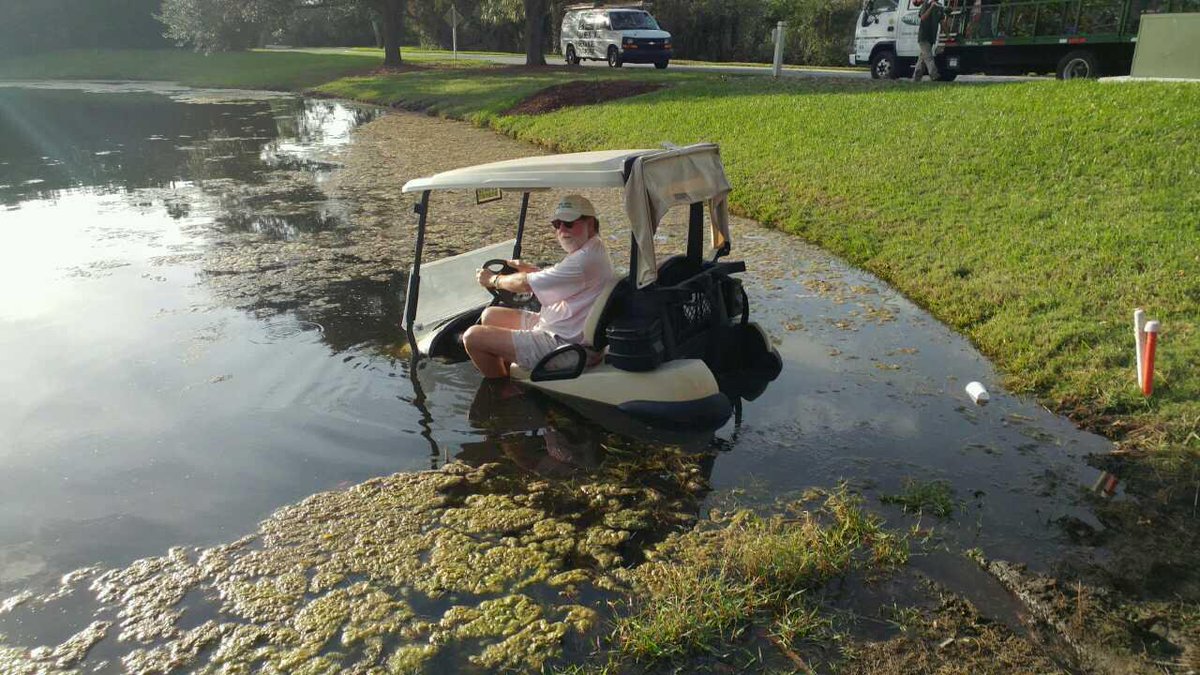mgfa2016's tweet image. Well....this is one way to search for golf balls #makegolffunagain @WMurrayGolf @LoudmouthGolf @mgfa2016 @Titleist @CallawayGolf