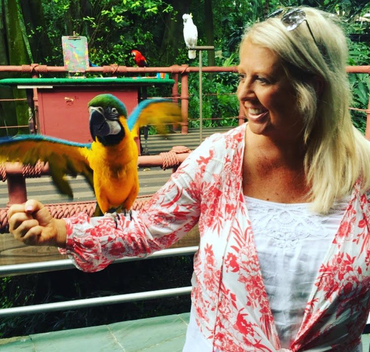 holidayswkids's tweet photo. What a way to start the day! Breakfast with the Orangutan's at @ZooSingapore! https://t.co/0ZBZZCPzOF