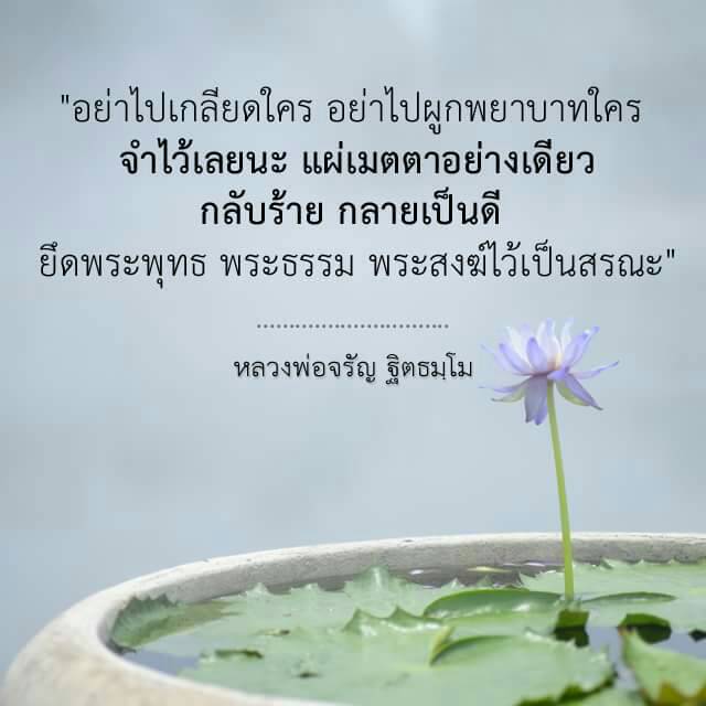 BuddhaQuotes_ tweet picture