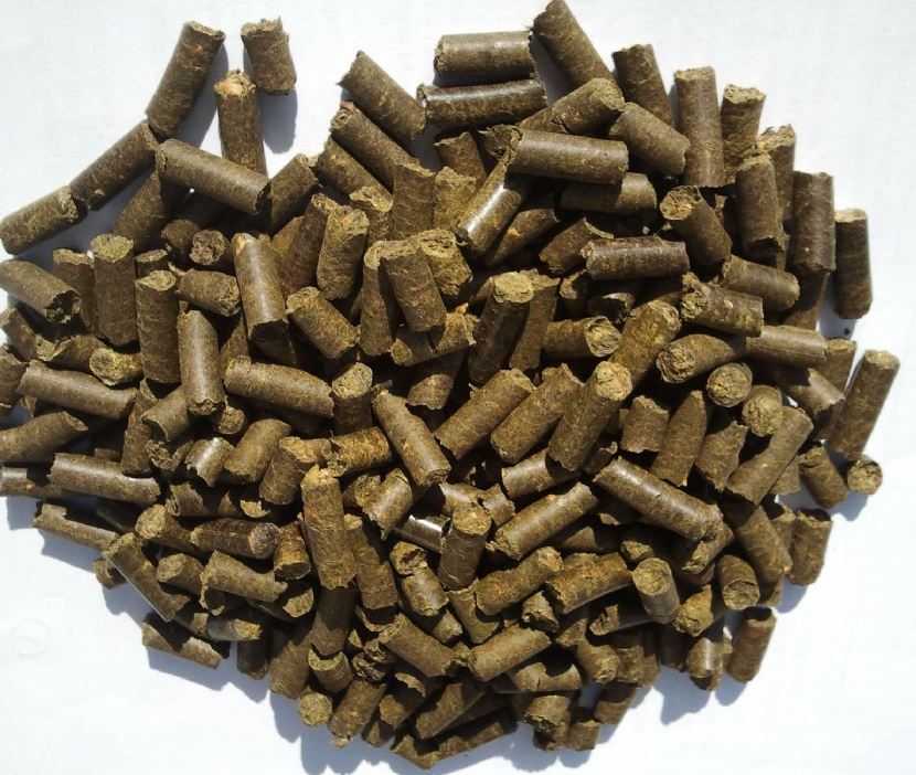 #NOVEDAD - <a href="/Lifeecocitric/">LifeEcocitric</a>: pienso animal a partir de poda de #cítricos revistaganaderia.com/alimentacionan… #ganado #ganadería #pienso