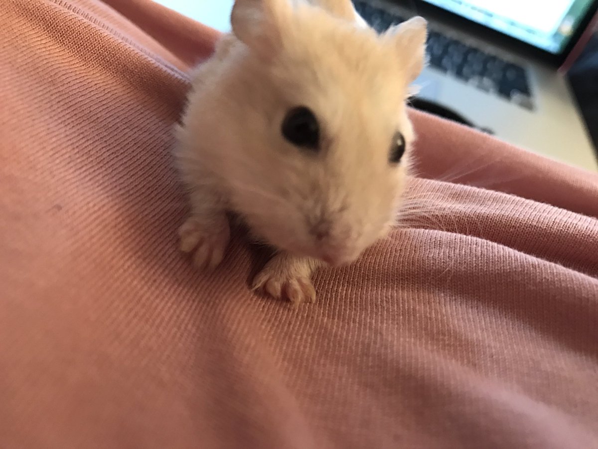 My little hairy son 😍😩💞