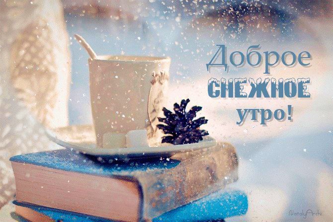 СИРЕНЬ (@blive8) on Twitter photo 