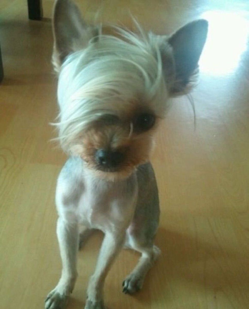 CauseWereGuys's tweet photo. Kim, 35, has 2 boys ages 7 and 13, cooks a mean boiled egg, drives a Ford Flex, and wants to speak to your manager https://t.co/B3acmZwa1a