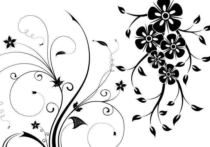 #اخترت_لكم 
 #ملحقات  #فرش  |  Free Floral Swirls Brushes

 ..

#تحميل :
brusheezy.com/download/55068…