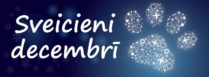 Klāt gada pēdējais mēnesis-svētku mēnesis.Lai tas atnes daudz prieka un mīlestības jums un jūsu mīluļiem!