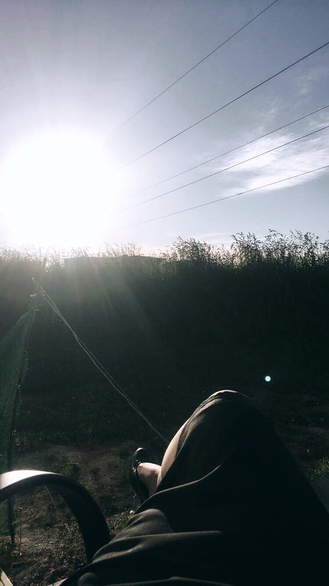 maliignis's tweet photo. ❝ Enjoying the lovely afternoon sun, though a little company wouldn't be too unpleasant... ❞ https://t.co/8u9CPLFb06