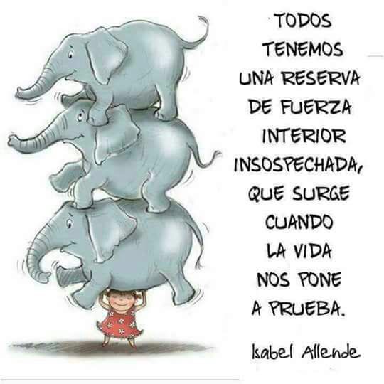 FundacionAMA_AC's tweet photo. https://t.co/WEuKywKhg3