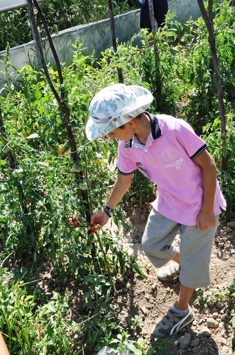 istanbulkamp's tweet photo. 🌳🌱🎋 #istanbulkamp #Şile #aktivitemerkezi https://t.co/GyDkW2HSBH