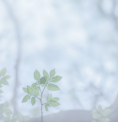 ─ мιиιмαℓιѕт ─ (@leafmjlk) on Twitter photo 