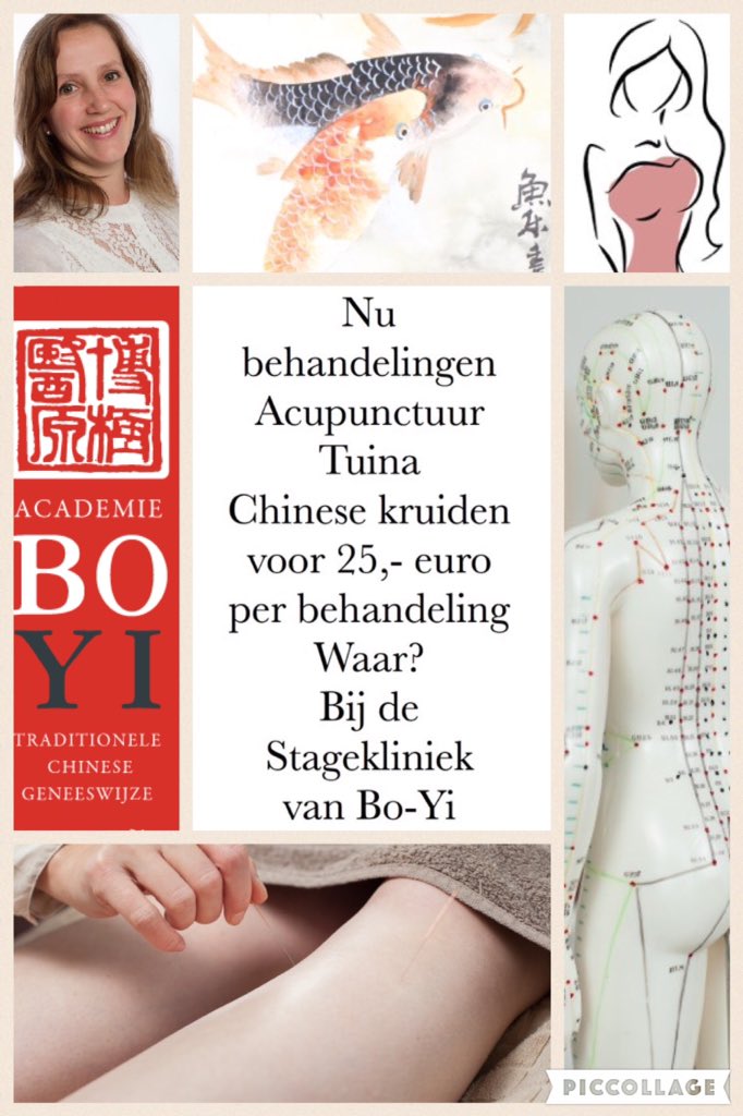 Acupunctuur, tuina of kruiden behandeling voor 25,- euro per behandeling? Waar? Lees het hier: