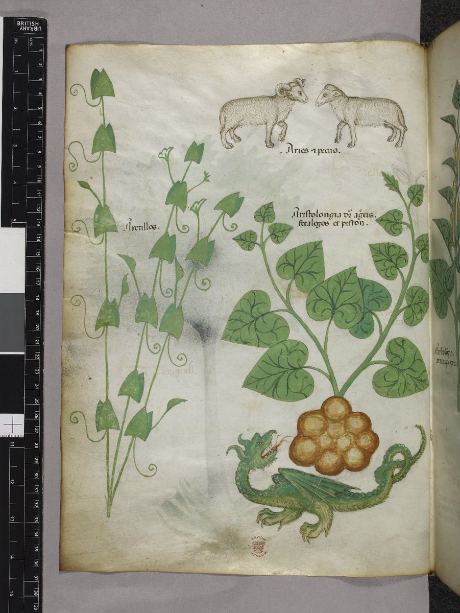 British Library (@britishlibrary) on Twitter photo Harry Potter: A History of Magic opens 20 Oct – a thrilling exhibition of Library treasures & material from <a href="/jk_rowling/">J.K. Rowling</a>’s own archive #HP20 Harry Potter: A History of Magic opens 20 Oct – a thrilling exhibition of Library treasures & material from <a href="/jk_rowling/">J.K. Rowling</a>’s own archive #HP20