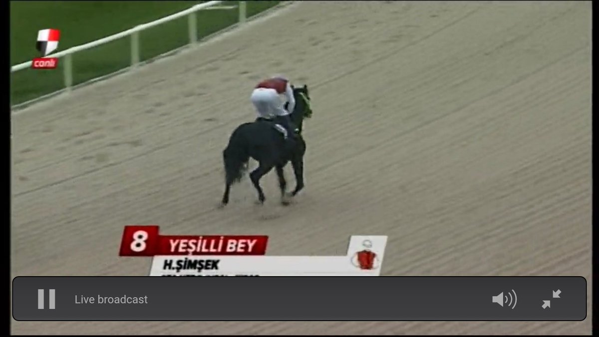 8-YEŞİLLİBEY ALTERNATİF TEK 

BEN İSTE BOYLE ATARİM 6 GANYANİ İLE ATARİM UYENİN ÖNÜNE BOYLE ATLARİ 

BU İS BİZİM İSİMİZ