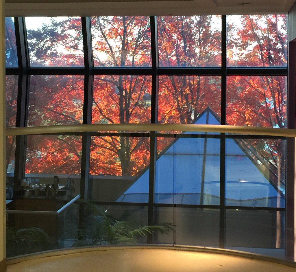 Anil Darbari tweet media