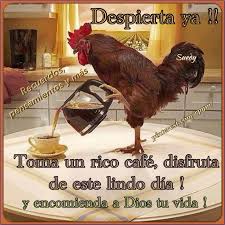 <a href="/titomara1/">Titomara</a> <a href="/gendarme53/">Alexis Cabrera</a> <a href="/amayafj/">frank jose amaya</a> <a href="/milwack/">MEDINSON FEREIRA</a> <a href="/MiguelNeira13/">Miguel Neira</a> <a href="/CHOLOMANDARRIA/">CIPRIANO RODRIGUEZ</a> <a href="/hh888874/">...</a> <a href="/hogarmio/">richard</a> <a href="/juandiaz50/">LA BALA</a> <a href="/hogarmio/">richard</a>