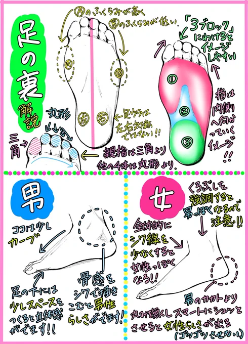 【足の裏の描き方】

300RT?1000イイね?

ありがとうございます！！

【足の裏】✨プチ解説イラスト✨
もよろしければどうぞ↓↓ 