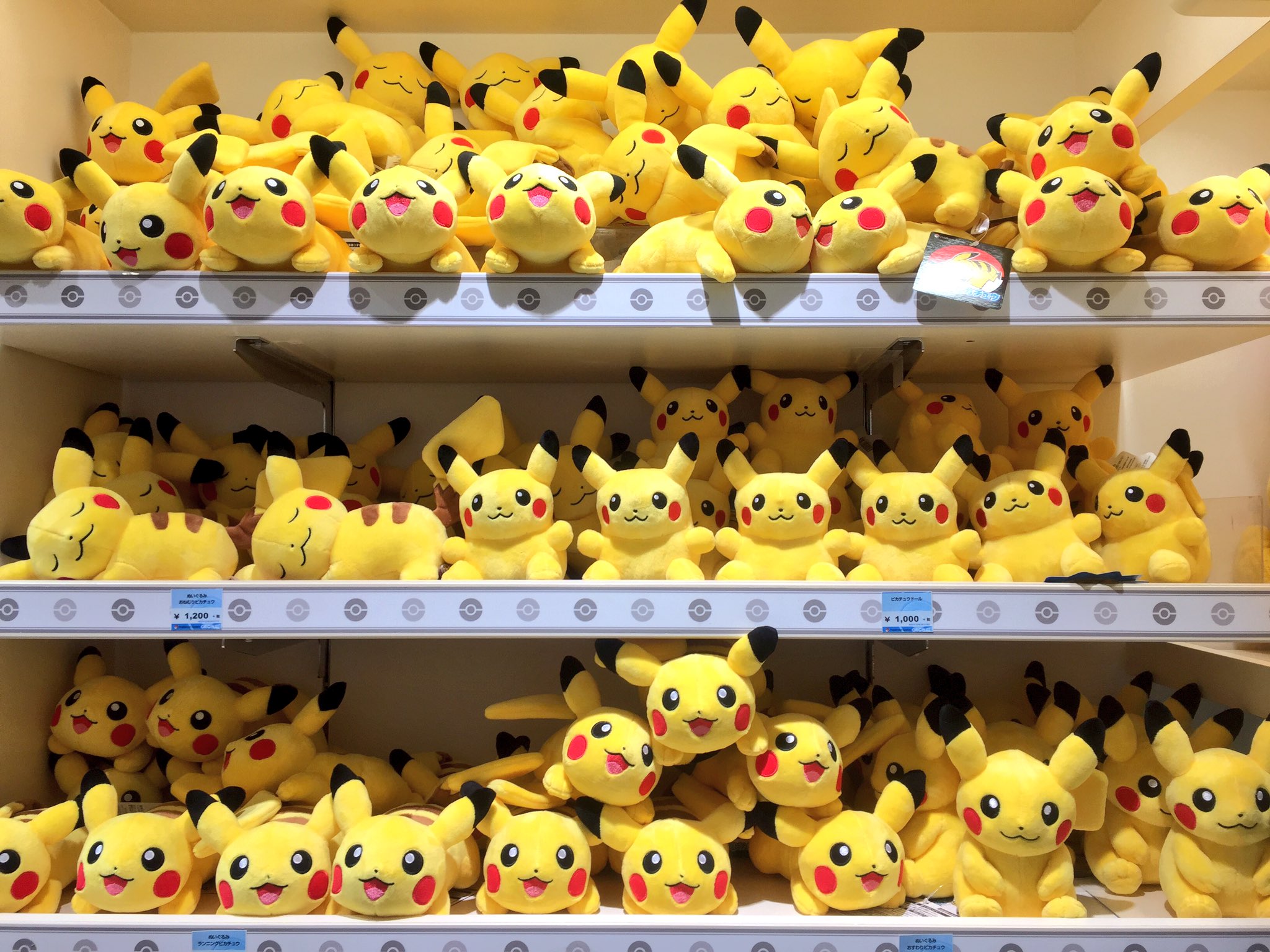 ヒノッチ お返事遅れます 在 Twitter 上 ポケモンセンターオリジナルのピカチュウぬいぐるみが新登場 おすわり おねむり ランニングの３種類 ポケモンセンター ポケセン T Co 7rfgigthy6 Twitter