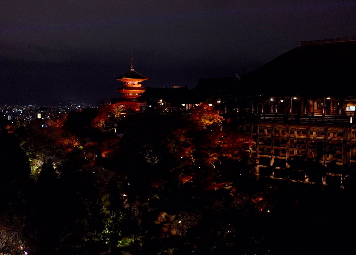 linnagu76's tweet photo. 夜游清水寺 https://t.co/jabGUeUE0k