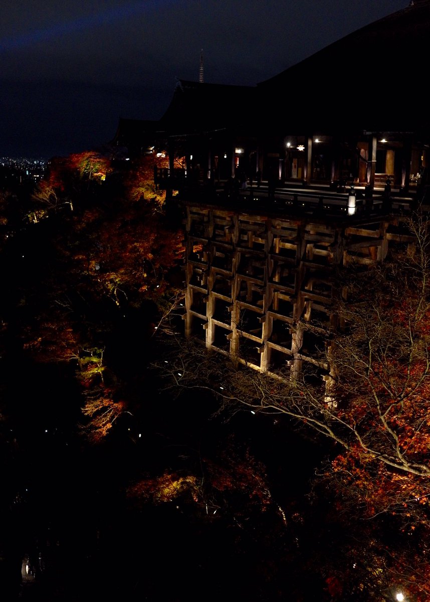 linnagu76's tweet photo. 夜游清水寺 https://t.co/jabGUeUE0k