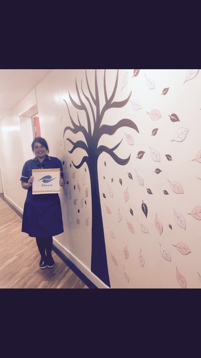 hilts's tweet photo. Fantastic work from Mark and Ben @seddonltd going the extra mile at @GMW_NHS #CBU #helpingwithsafetywards #dischargetree https://t.co/Jt0oYx7KCE