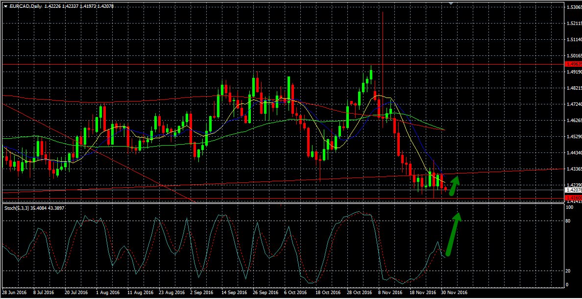Tradingbanks's tweet photo. Market Events Today December 1, 2016
https://t.co/gVM4fUtOP6
#tradingbanks #gbp #usd #chf #nzd #eur #brl #pln #cad #jpy #currency #aud #huf https://t.co/YCM1vEYYCv