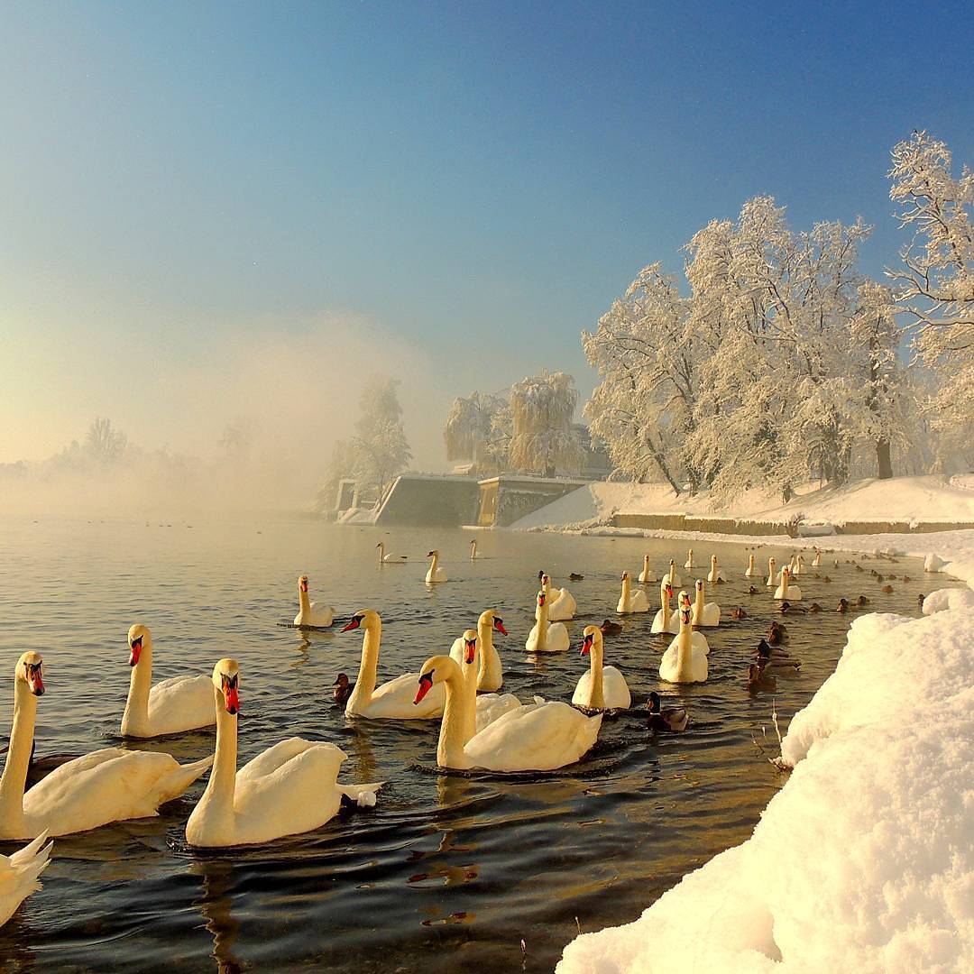 If you want to escape into the natural surroundings 
#VisitKarlovac 📷by Vilim Stojković