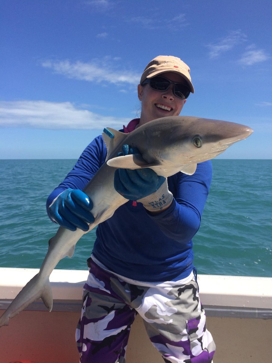 Florida District Elects New Director - Bonnie Ahr -  aifrb.org/florida-distri…