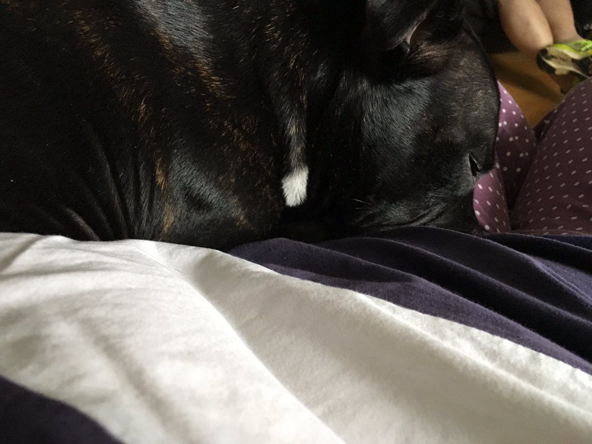 Morning <a href="/TeamBilbo1223/">Bilbo</a> sorry I haven't been around much pal, mum has been unwell so bend looking after her as you can see 😜