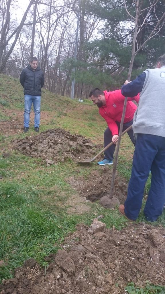 BSujdovic's tweet photo. Asmir Kolasinac prvi posadio sampionsko - Lalino drvo u ,,Drvoredu sampiona,, @beograd202  #Atletska dvorana https://t.co/MIkviGJ5Lh