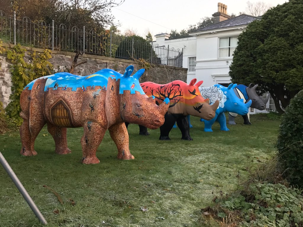 It's a cold start to December! #greatbigrhinos