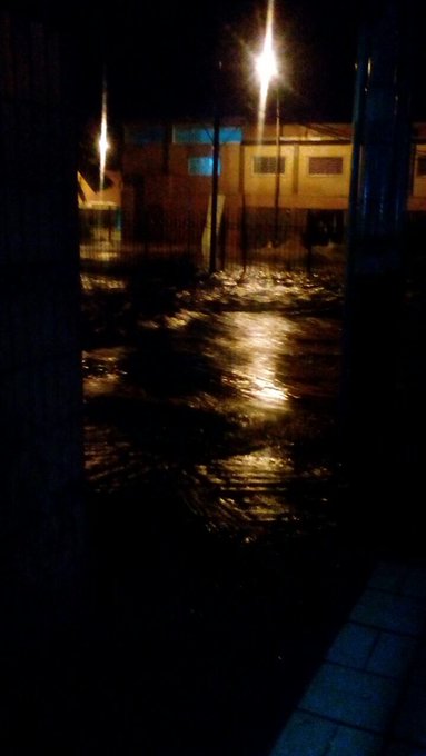 Ver imagen en Twitter