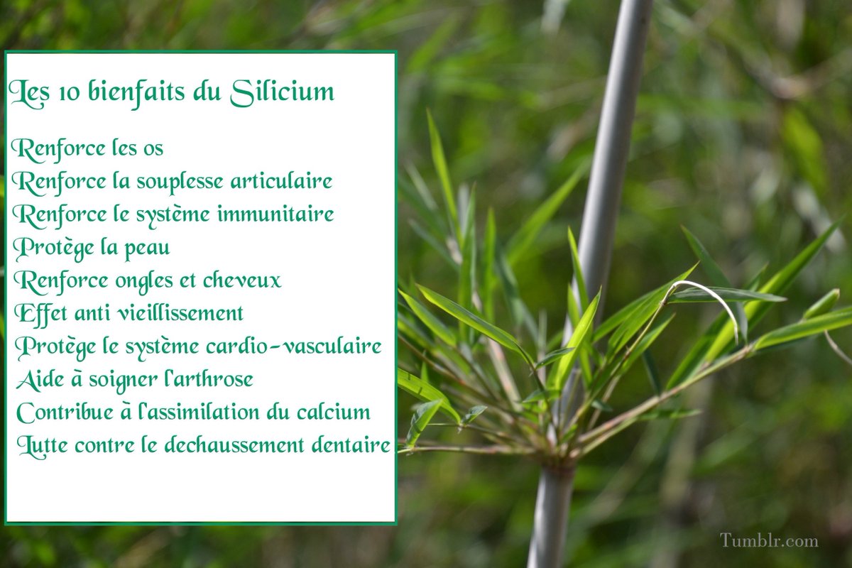 .:les #10bienfaits du #Siliciumorganique:. Vous le saviez?
  #santé #bienetre #complementsalimentaires #silicium