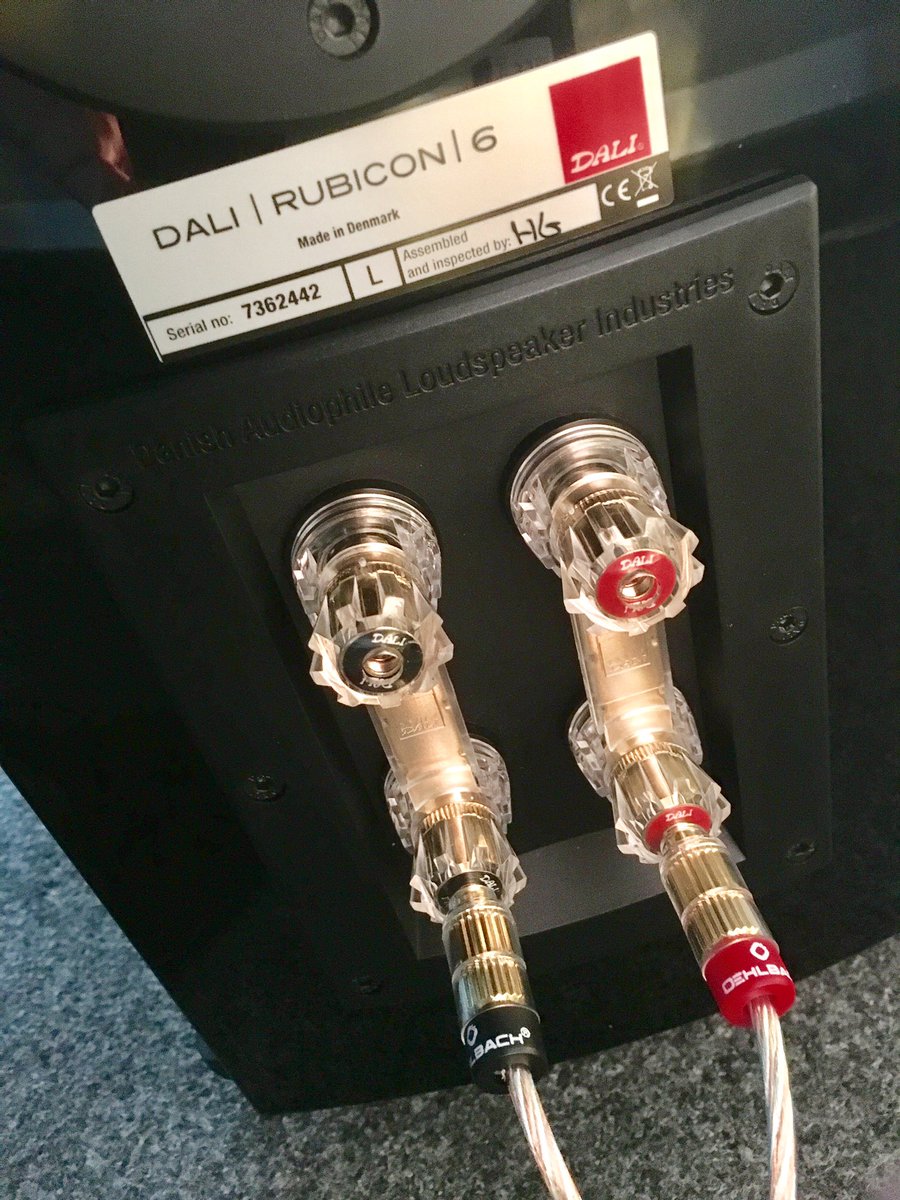 dali rubicon review