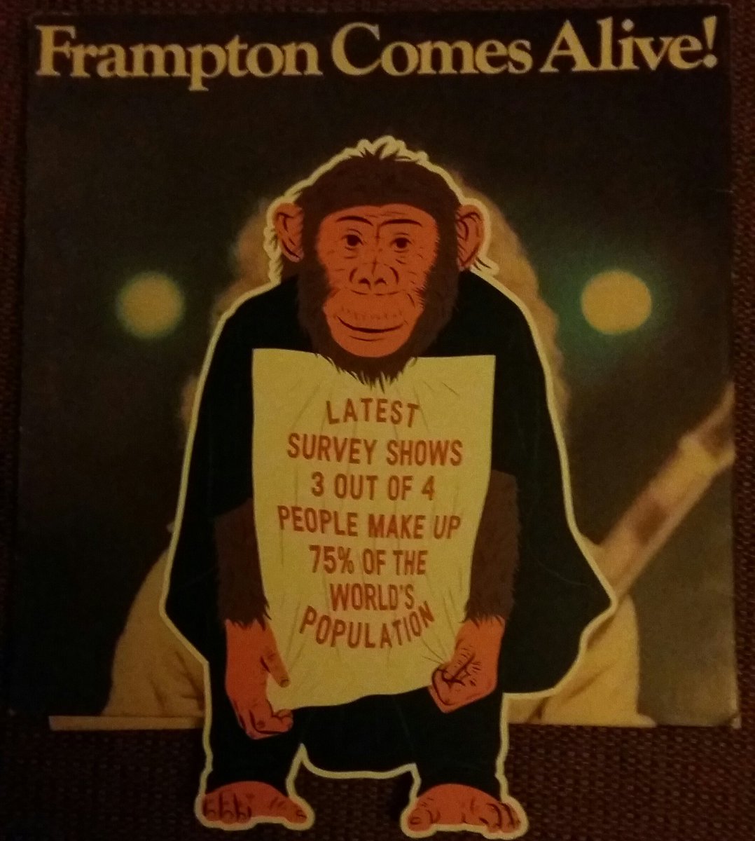 OddbinsAllerton's tweet photo. #Smartchimp's vinyl countdown starts now, a #12chimpsofchristmas advent calendar, only with records! @oddbins @OddbinsChorlton @_OddbinsCE_ https://t.co/UEFZHkE7Qm