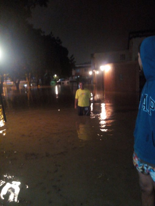 Ver imagen en Twitter