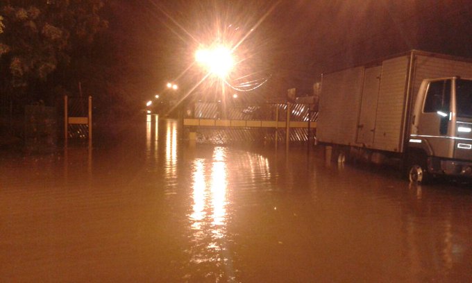 Ver imagen en Twitter