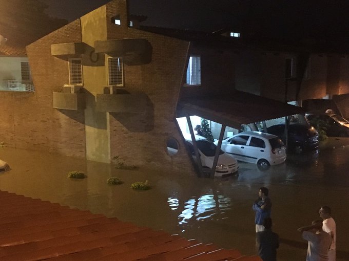 Ver imagen en Twitter