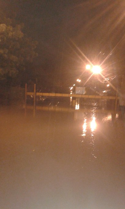 Ver imagen en Twitter