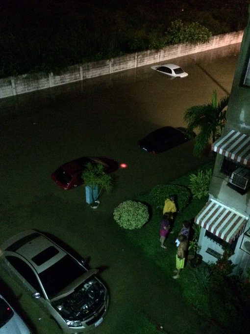 Ver imagen en Twitter