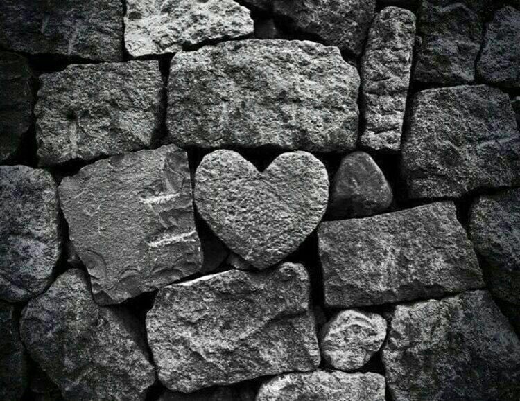 esraa___my's tweet photo. 💟كن حريص على أن لا تخسر إنسان،،
             قد لا يقدمه لك الزمن
                     مرة أخرى.. https://t.co/xw9EK6AGvK