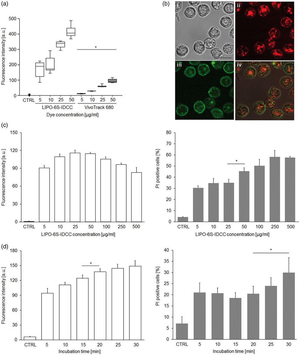 _JCBFM's tweet photo. NIR fluorescence imaging of #neutrophil response in a mouse model of transient cerebral ischaemia #SageChoice https://t.co/T4aJLqmO38 https://t.co/mQGGIndCfp